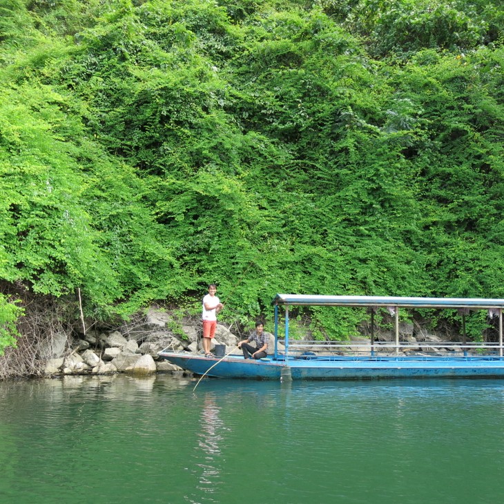 Beautiful scenery at Ba Be Lake - ảnh 4